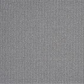Camelot - Nickel Swatch