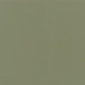 Color Wheel Classic Rectangle 3X6 GL Grp3 - Garden Spot Glossy Swatch