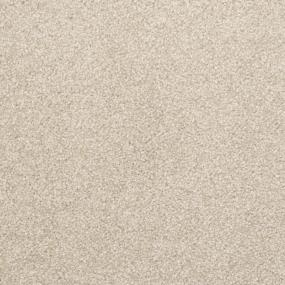 Delight - Driftwood Swatch