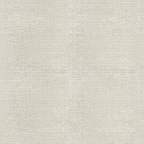 Well Rounded - Mother Of Pearl Swatch