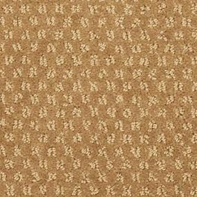 Ferris Zoomed Swatch