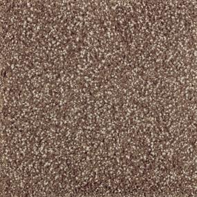 Natural Refinement II - Dried Peat Swatch