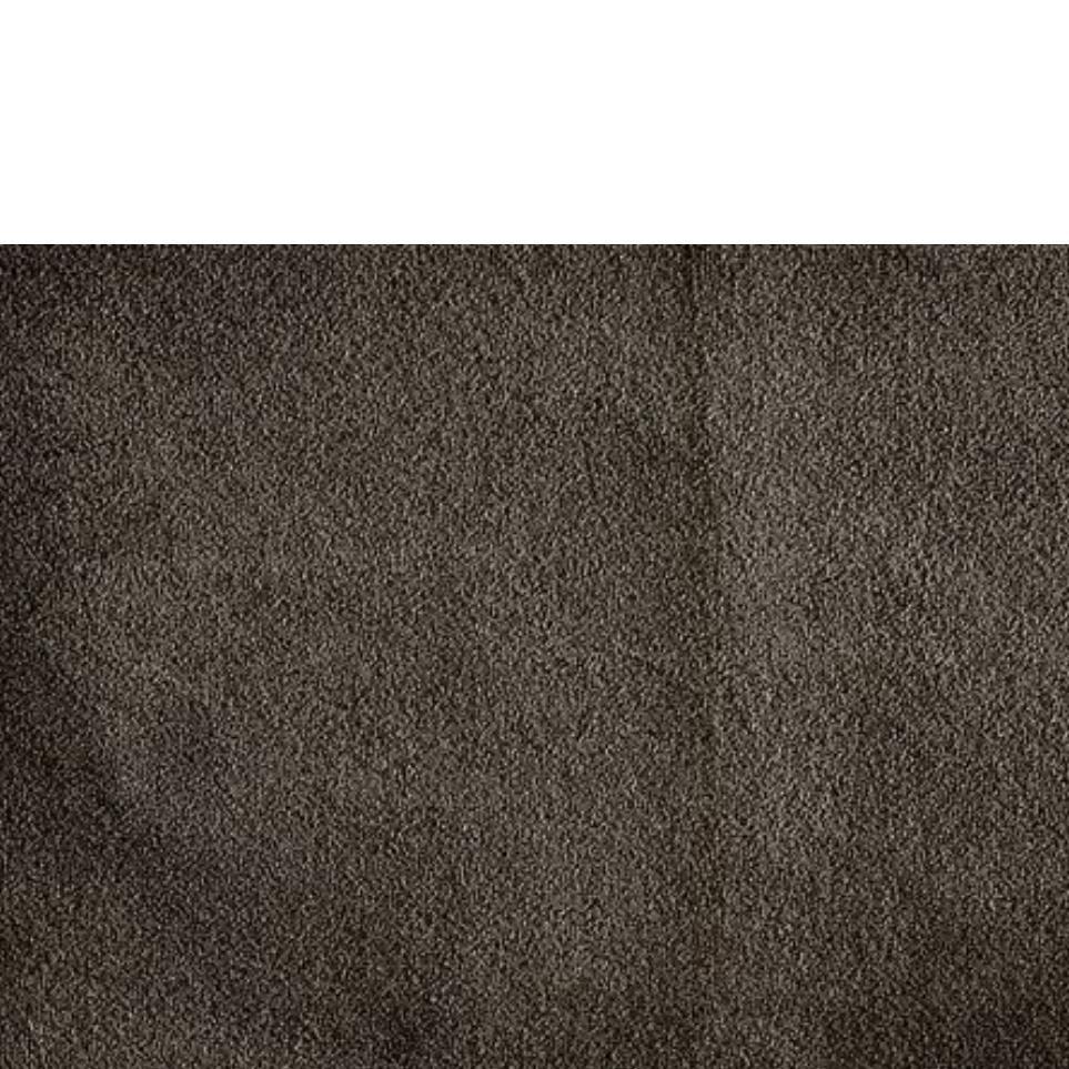 Seal Zoomed Swatch