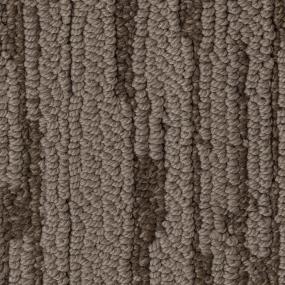 Rodeo Zoomed Swatch