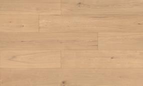 Expressions - Exuberant Swatch