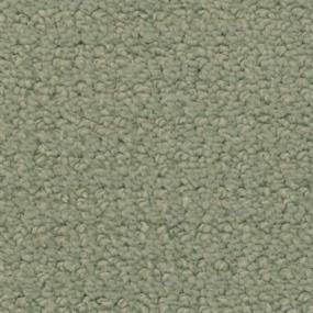 Balsam Zoomed Swatch