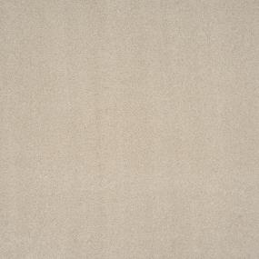 Star Power - Sanderling Swatch