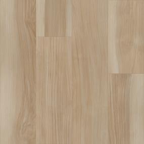 Hopewell Rocks - Simply Cream Swatch