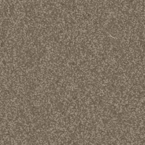 Tortilla Zoomed Swatch