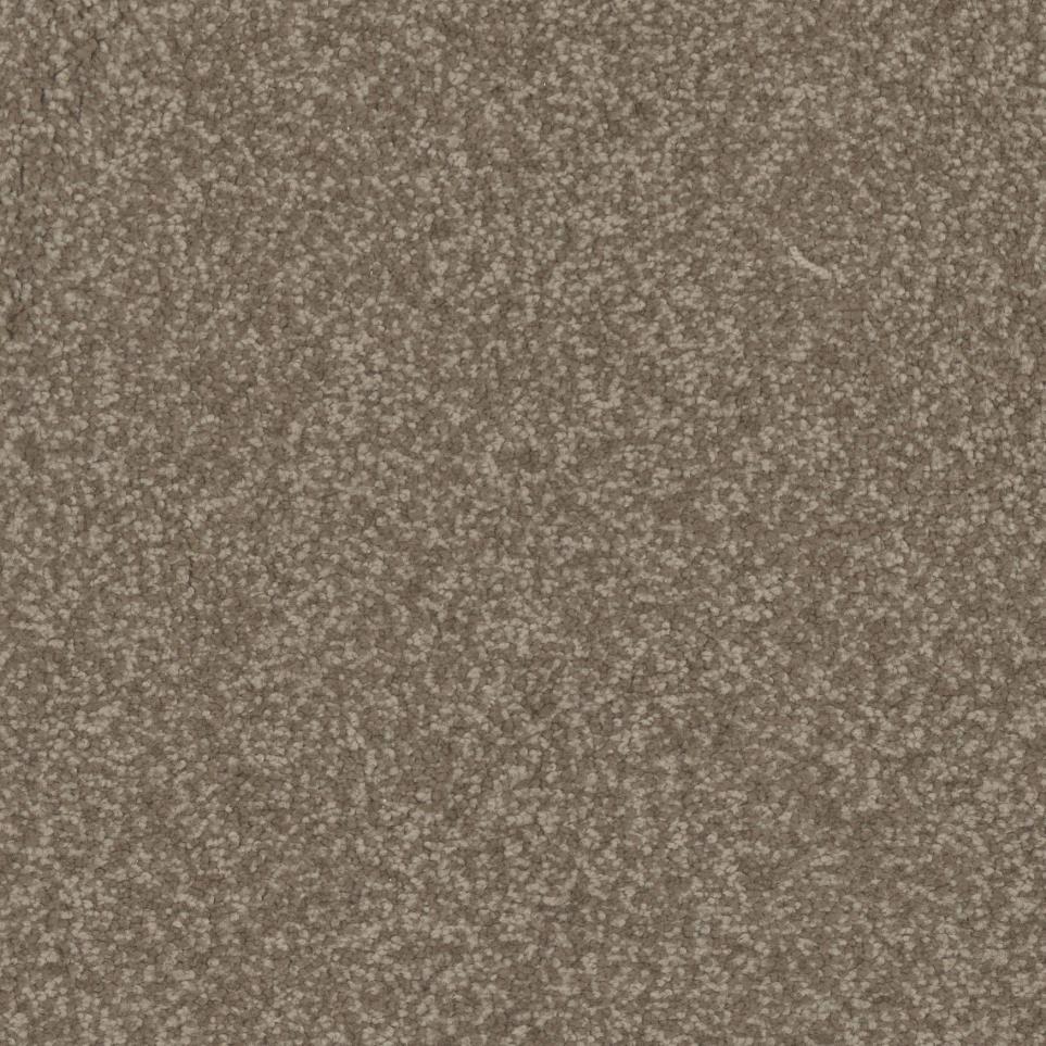 Tortilla Zoomed Swatch