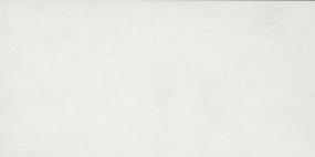 Portfolio Rectangle 12X24 Mt - White Matte Swatch