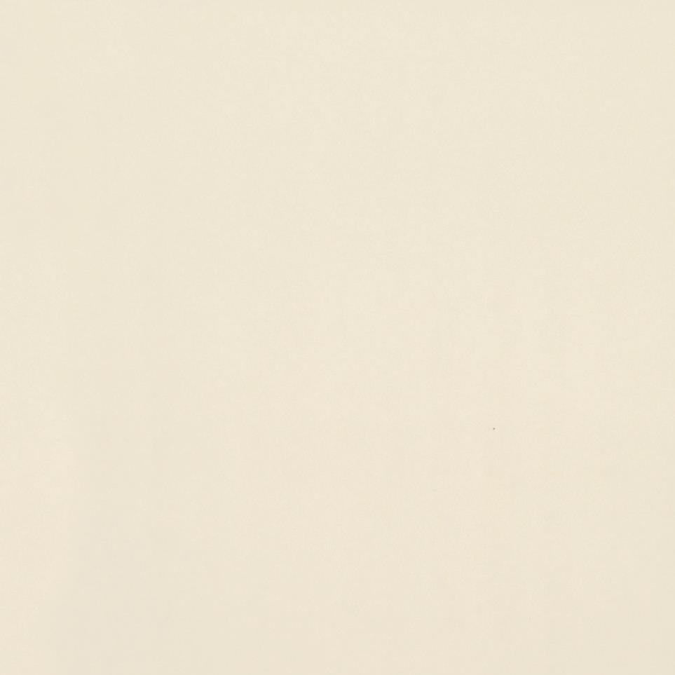 Paint Matte Zoomed Swatch