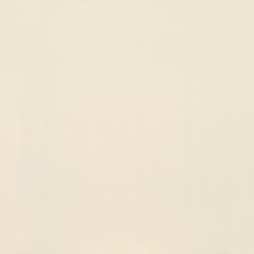Paint Matte Swatch