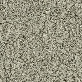 Raven Zoomed Swatch