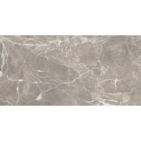 Alpha Matte - Greige Swatch