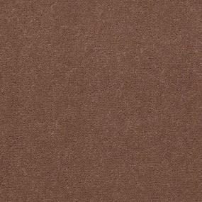 Cocoa Zoomed Swatch