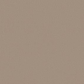Modern Sophistication - Nutria Swatch