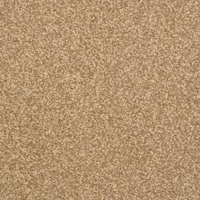 Delight - Yucatan Swatch