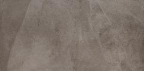 Delegate Rectangle 12X24 Mt - Light Grey Matte Swatch