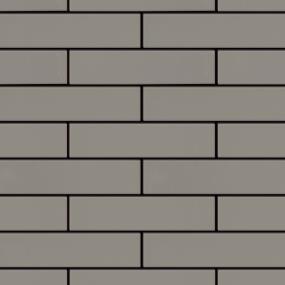 Dark Grey Polished Swatch Thumbnail