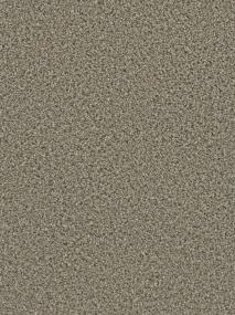 Ash Swatch Thumbnail