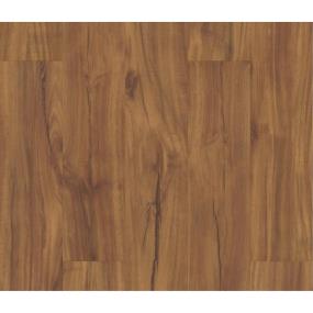 Coretec Plus Plank 5 - Gold Coast Acacia Swatch