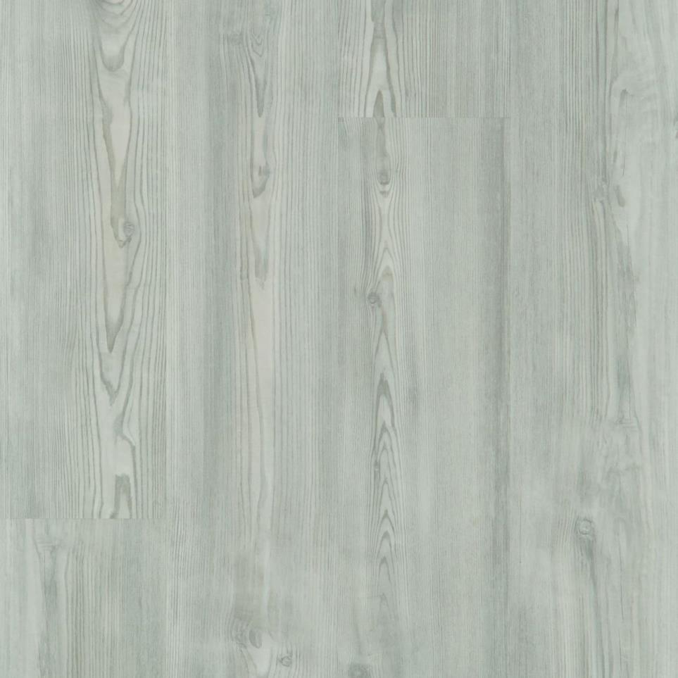 Neutral Pine Swatch