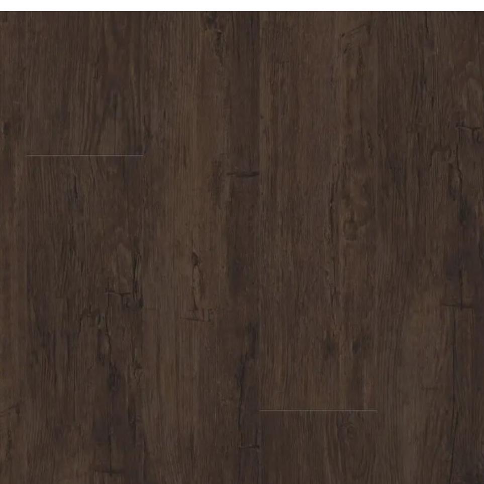 Scout Zoomed Swatch