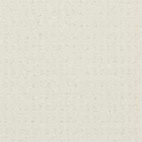 Pure White Swatch Thumbnail