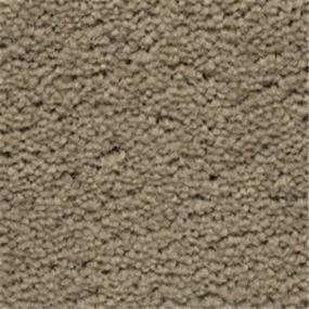 Kangaroo Swatch Thumbnail