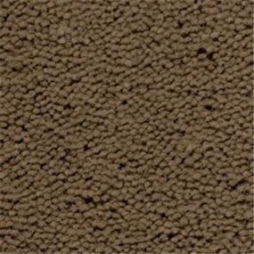 Burro Swatch Thumbnail