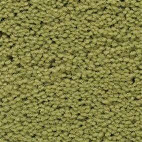 Citrus Swatch Thumbnail