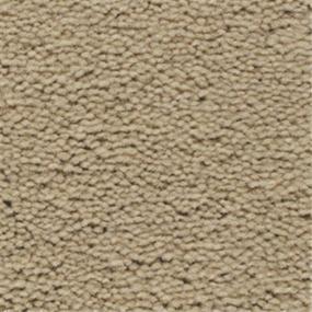 Pale Oak Swatch Thumbnail