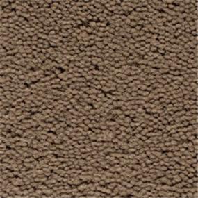 Stetson Swatch Thumbnail