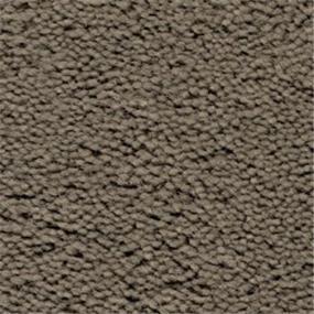 Chinchilla Swatch Thumbnail