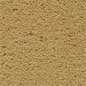 Ginseng Swatch Thumbnail