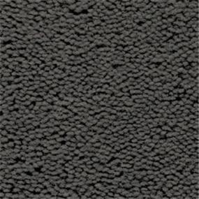 Cast Iron Swatch Thumbnail
