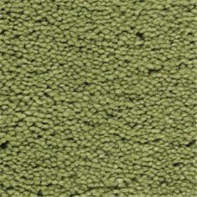 Aloe Swatch Thumbnail