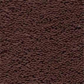Raisin Swatch Thumbnail