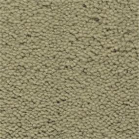 Jungle Haze Swatch Thumbnail