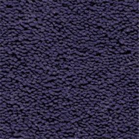 Plum Royale Swatch Thumbnail