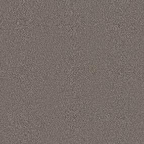 River Birch Swatch Thumbnail