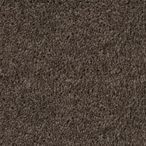 Brown Study Zoomed Swatch