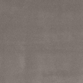 Whimbrel - Lofty Swatch