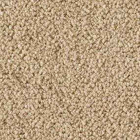 Optimism Zoomed Swatch