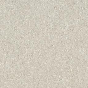 Sand Dollar Zoomed Swatch