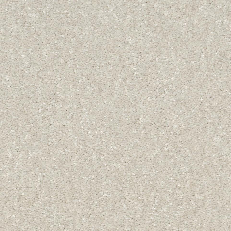 Sand Dollar Zoomed Swatch