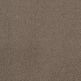 Charis II - Camel Swatch