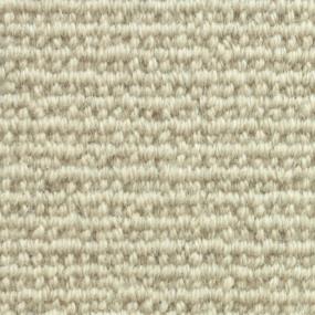 Pebble Zoomed Swatch