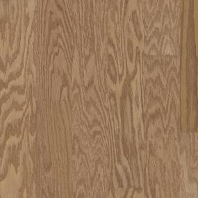 Caramel Zoomed Swatch